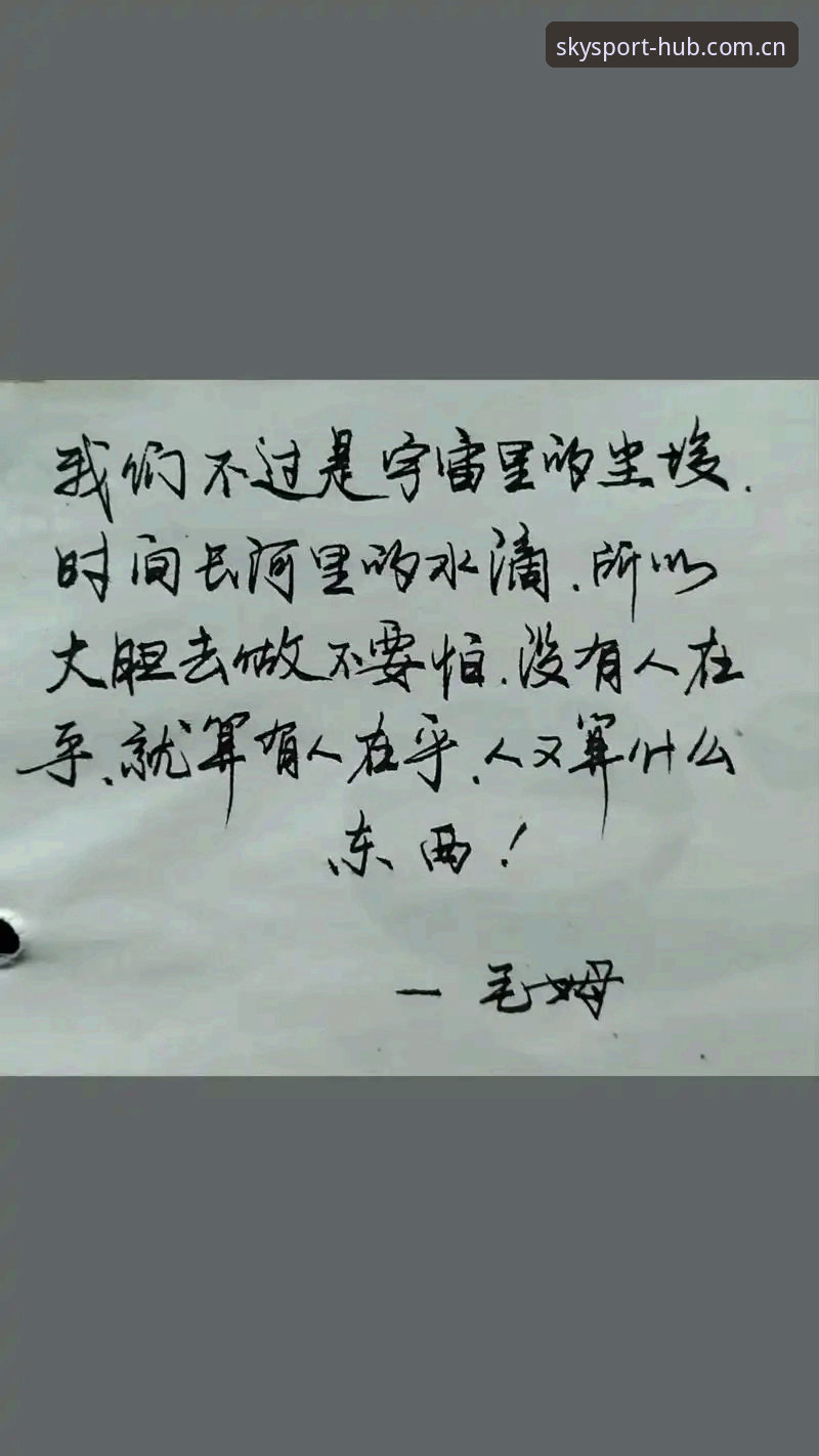 揭秘星空综合体育新版上线背后的真相：一个老用户的四年观察笔记